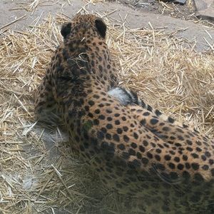 Meet your Posher, Vance